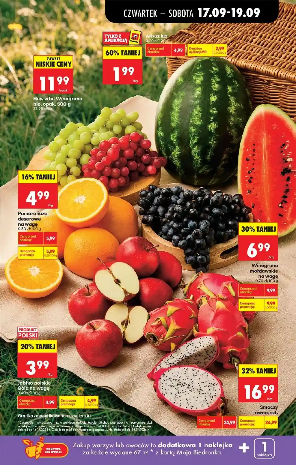 new-biedronka-akciya-33