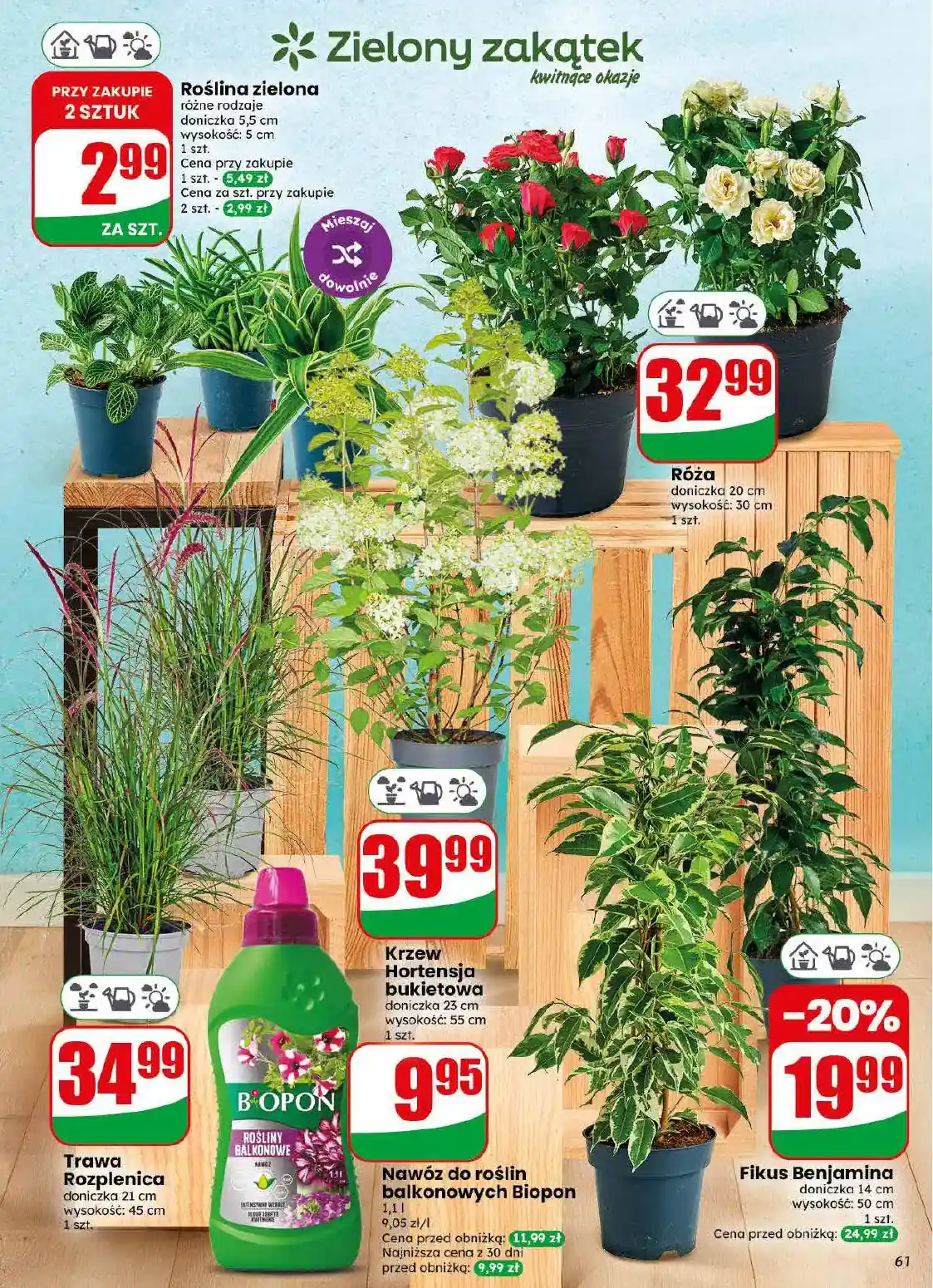 new-dino-akciya-61