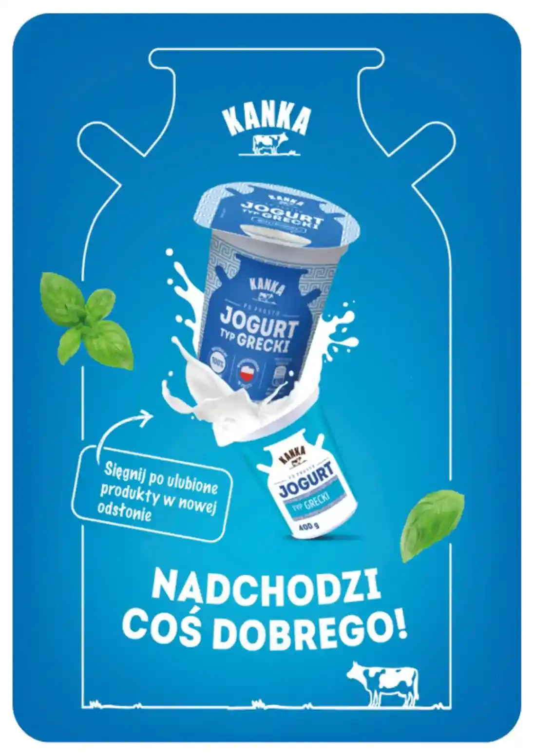 new-groszek-akciya-18