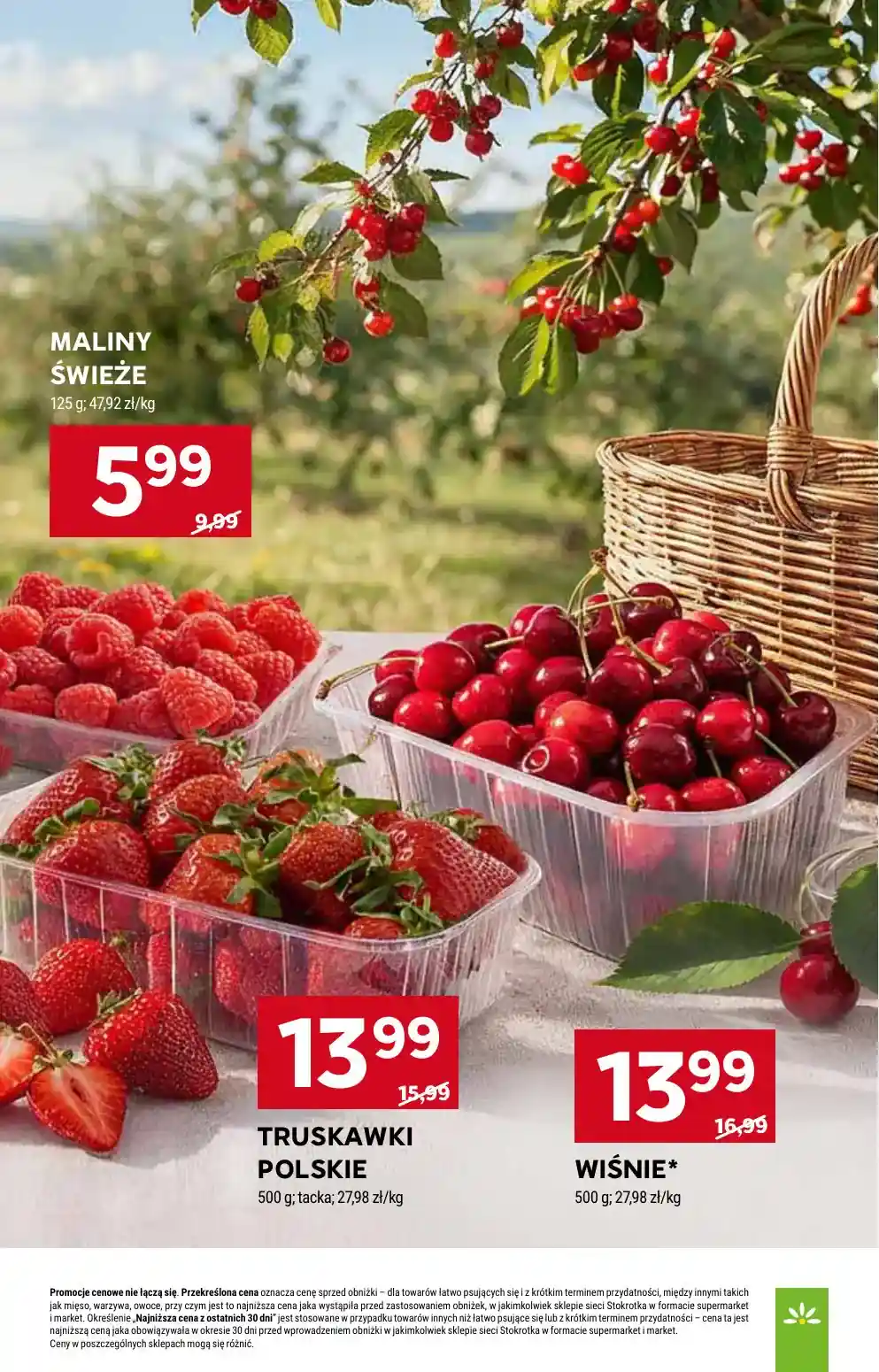 new-stokrotka-akciya-17